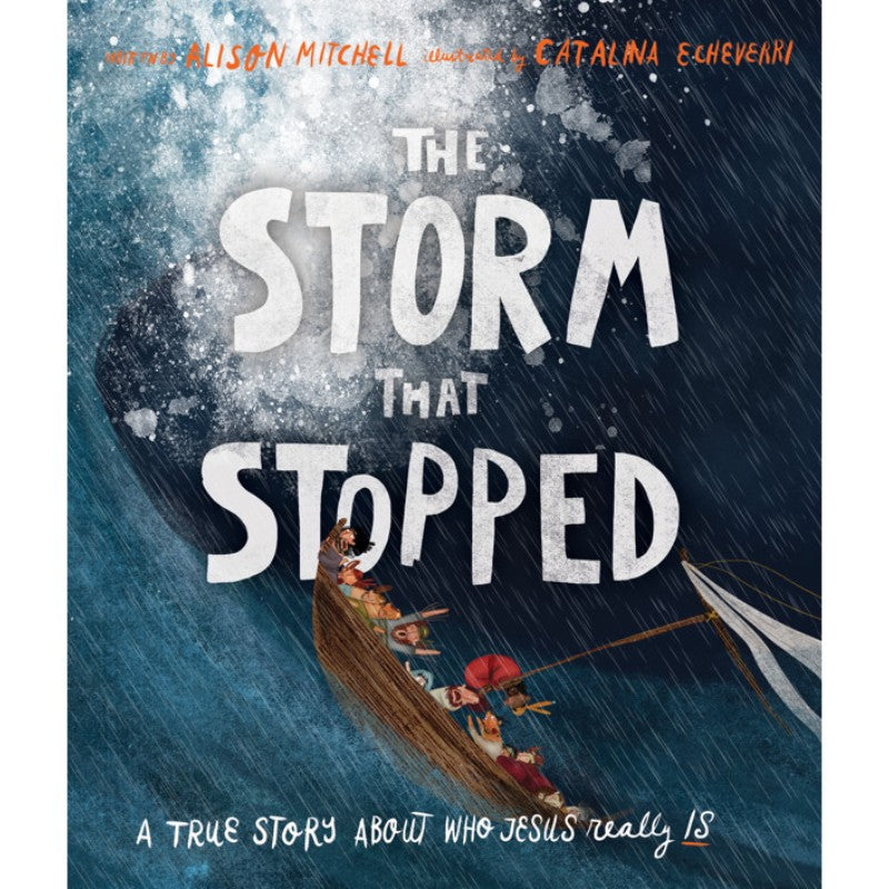 The Storm that Stopped, by Alison Mitchell